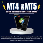 Get your latest services Using crypto forex MT4 & MT5