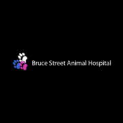 Reliable Animal Hospital Kitchener with Compassion & Skilled Pet Care