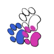 Animal Hospital Kitchener – Gentle Pet Wellness & Medical Support